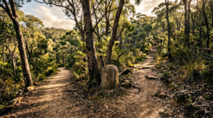 Interest-Only vs Principal-and-Interest Home Loans: Which Is Right for You?